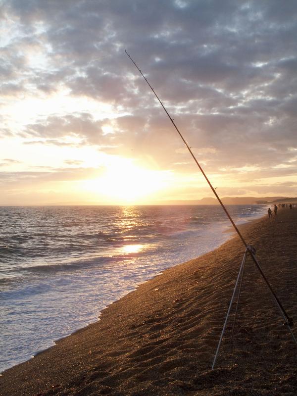A surf rod standing in the sand at sunset