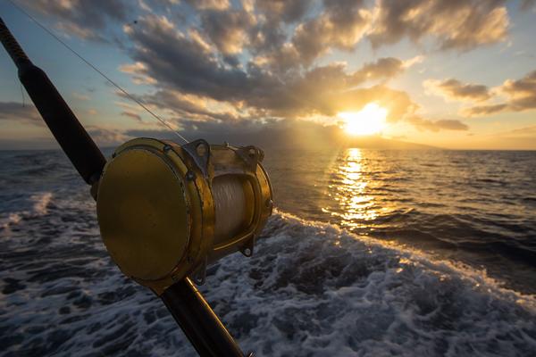 A gold reel on a rod against the ocean at sunset